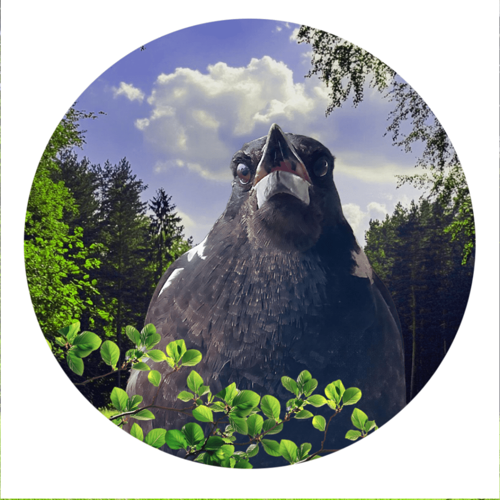 Music for every&nbsp;occasion